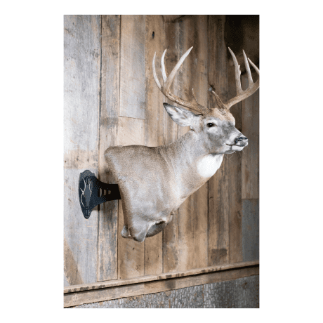 Skull Hooker® Shoulder Single Mount 