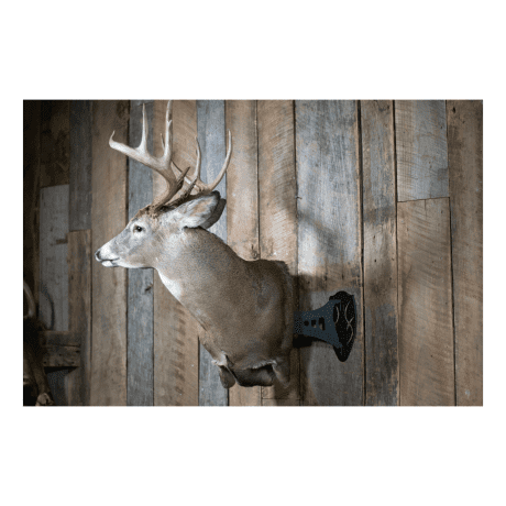 Skull Hooker® Shoulder Single Mount 