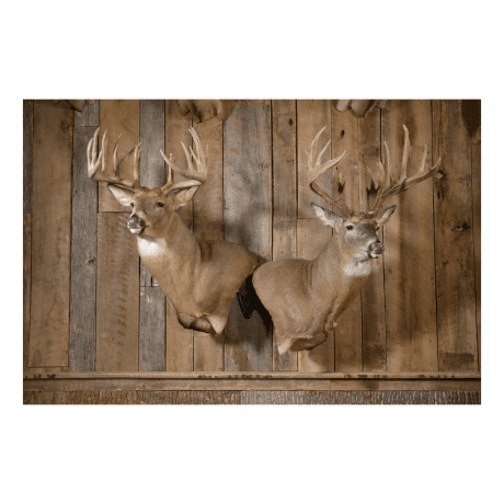 Skull Hooker® Shoulder Double Mount 