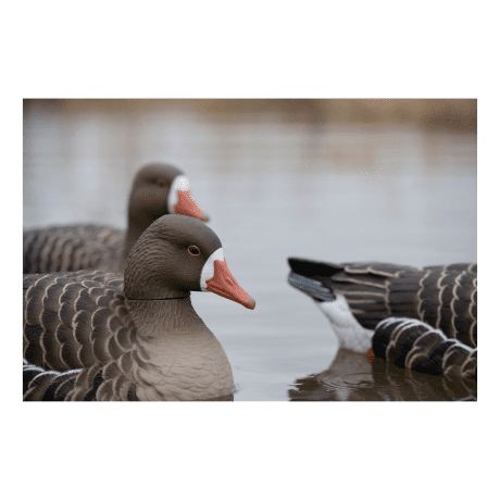 Avian X® Topflight Specklebelly Floating Goose Decoy