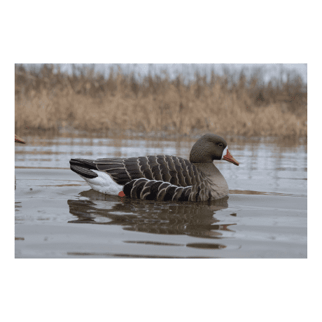 Avian X® Topflight Specklebelly Floating Goose Decoy