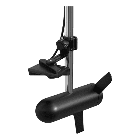 LiveScope™ Plus LVS34 Transducer Only