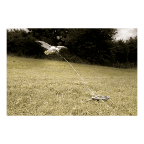 Higdon Clone Persuader Motorized Decoy Stand