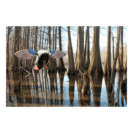 MOJO® Outdoors Elite Series™ Mini Mallard Drake Motorized Duck Decoy