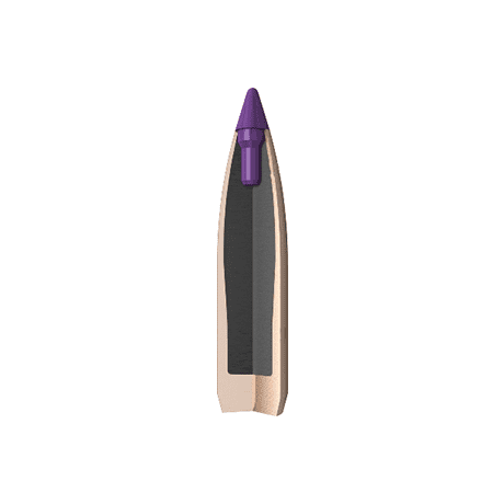 Nosler Ballistic Tip Hunting Bullets