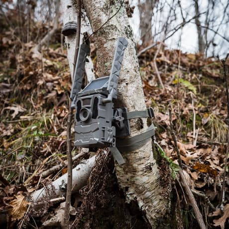 Tactacam™ Reveal Tree Mount