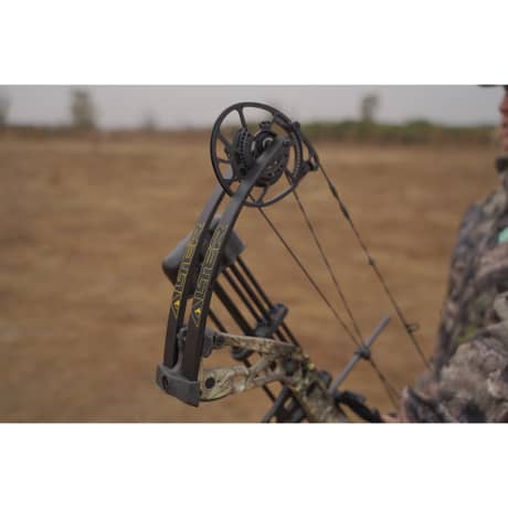 Diamond Alter Compound Bow Package