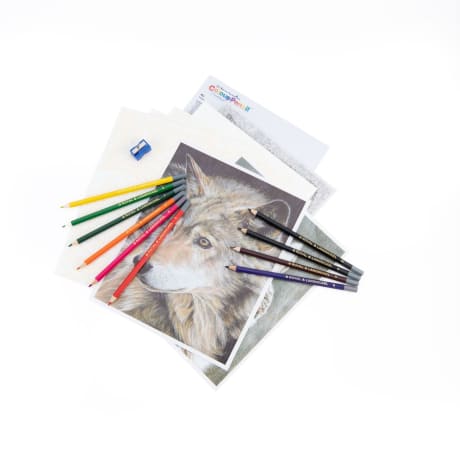 Royal & Langnickel Colour Pencil Set - American Wildlife