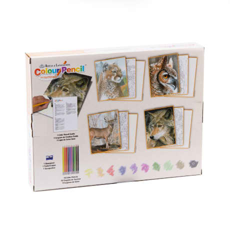 Royal & Langnickel Colour Pencil Set - American Wildlife