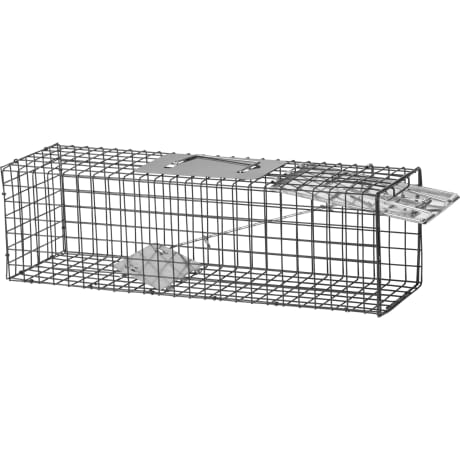 Pursuit Live Animal Traps 2-Pack