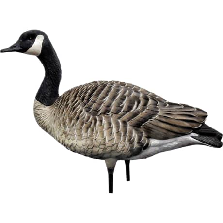 Avian-X® AXF Active Honker Goose Decoys 4 Pack