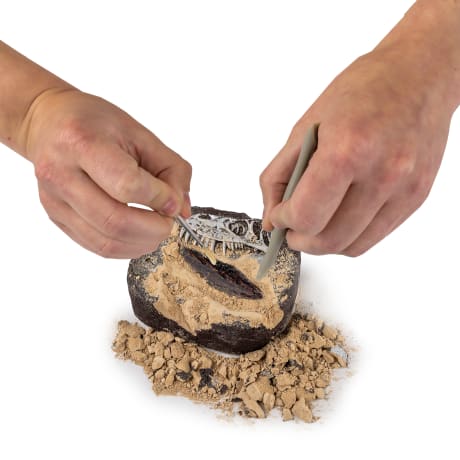 National Geographic® Dino Dig Kit