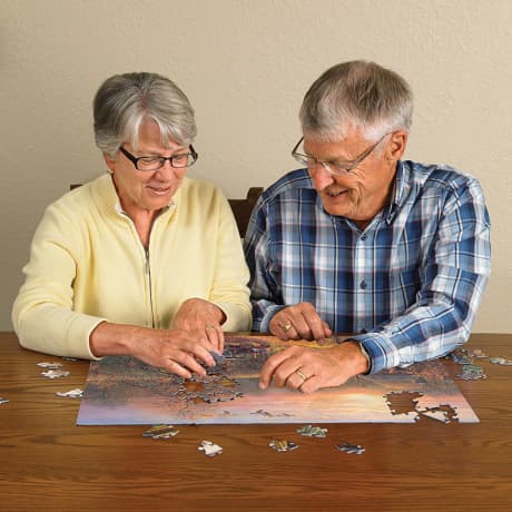 Cobble Hill Taking a Break Puzzle - 275 Pieces