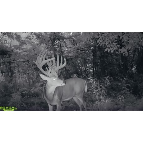 Tactacam™ REVEAL X Gen 2.0 Cellular Trail Camera Combo