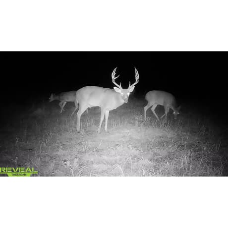 Tactacam™ REVEAL X Gen 2.0 Cellular Trail Camera Combo