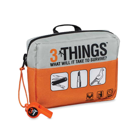 3 Things - What Will It Take To Survive? Game