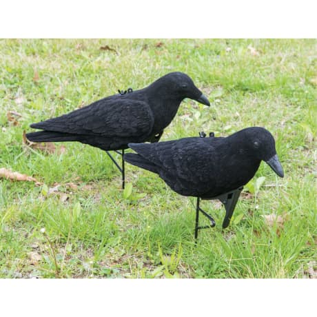Cabela’s® Flocked Crow Decoy - 2 Crows