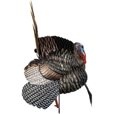 Avian-X® HDR Strutter w/ X-Factor