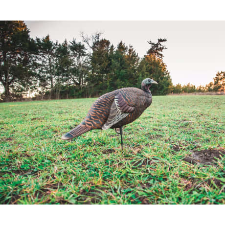 Flextone® Thunder Chick™ Breeder/Feeder Hen Turkey Decoy Combo