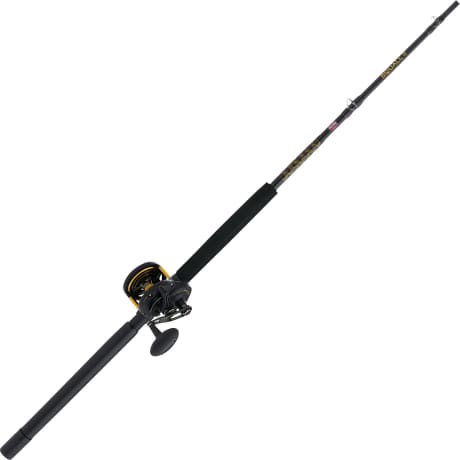 Moulinet Multiplicateur Penn 50 Moulinet Penn Squall II 50 - Multiplicateur Mer/pêche - Levier De Drag Puissant - Neuf Moulinet Mer Penn Squall II