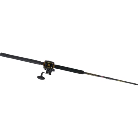PENN® Squall® II Lever Drag Conventional Combo