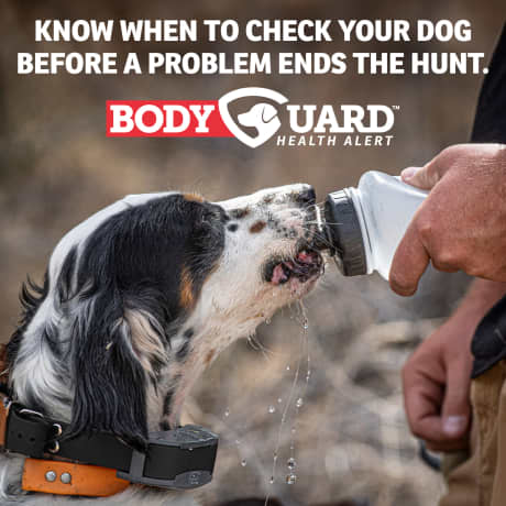 SportDOG Brand® FieldSentinel Electronic Dog-Training System – 1/2 Mile Range