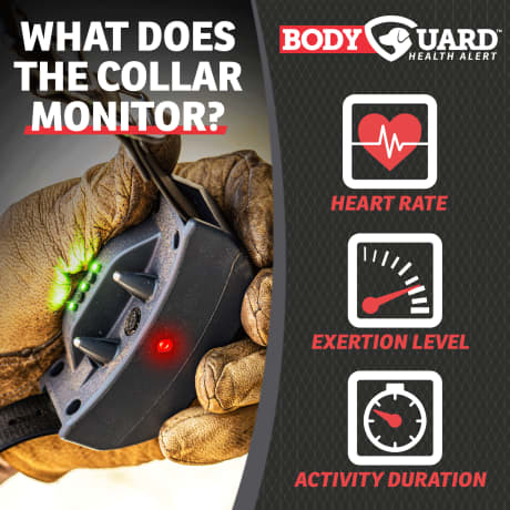 SportDOG Brand® FieldSentinel Electronic Dog-Training System – 1/2 Mile Range