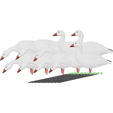 Avian-X AXP Snow Goose Decoys Adult 10-Pack