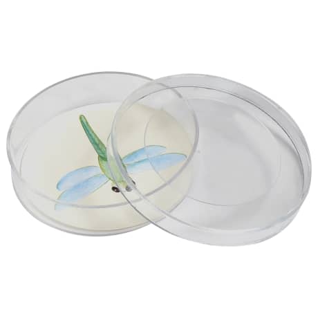 Nature Bound® Bug Bucket Habitat Play Set