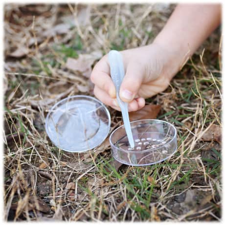 Nature Bound® Bug Bucket Habitat Play Set