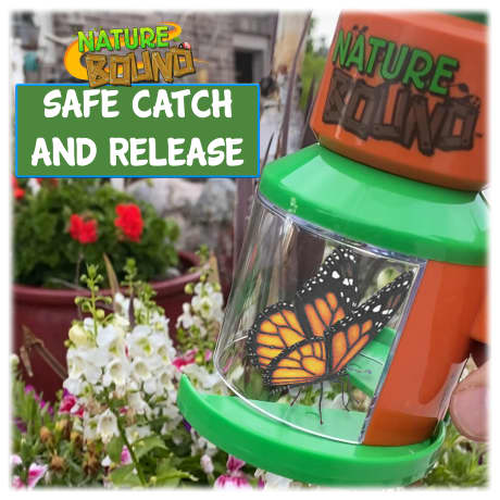 Nature Bound® Bug Catcher and Viewer