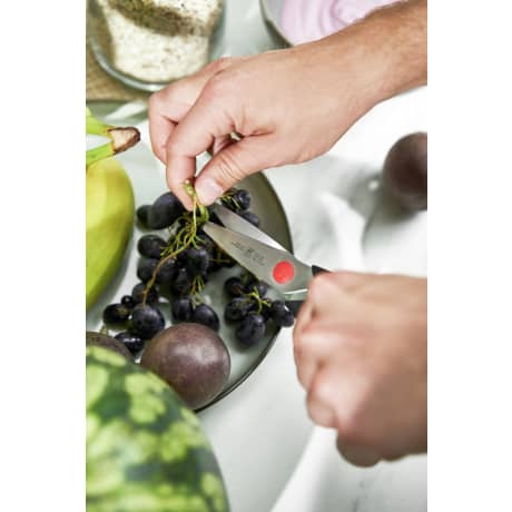 ZWILLING® Twin Chef 2 9 Piece Knife Block Set