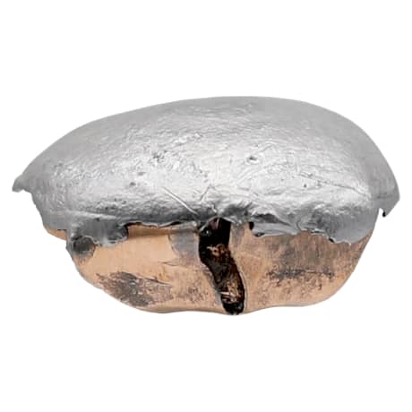 Hornady® Bore Driver™ 50 Cal 290 Gr FTX® Muzzleloader Bullets