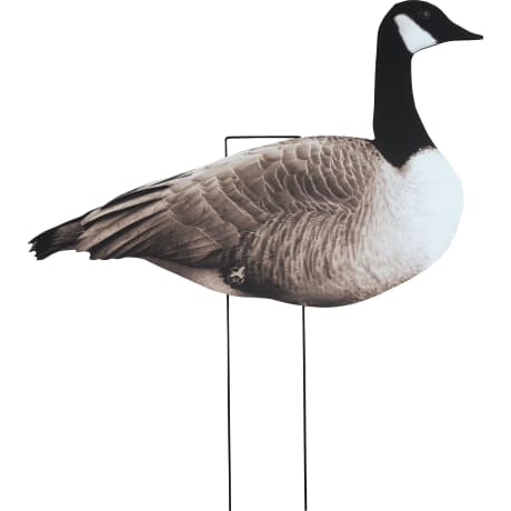 Northern Flight® Canada Goose V2 Silhouette Goose Decoys