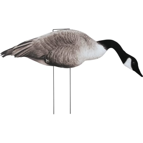 Northern Flight® Canada Goose V2 Silhouette Goose Decoys