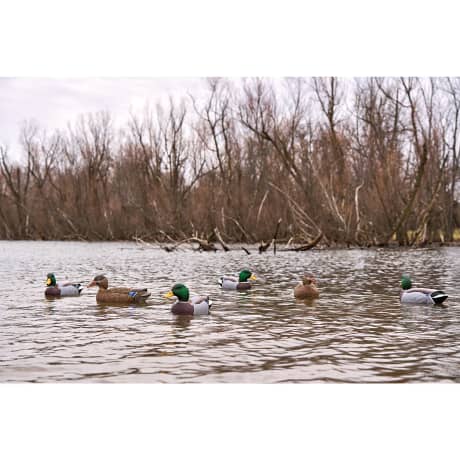 Northern Flight Magnum Mallard Active Mallard Duck Decoys