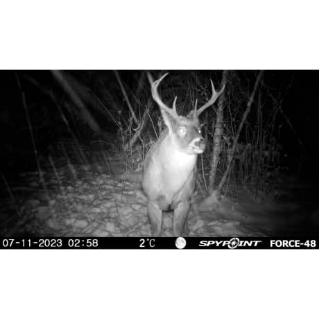 SPYPOINT® The Force-48 Trail Camera