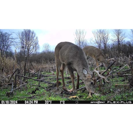 SPYPOINT FLEX-PLUS Cellular Trail Camera