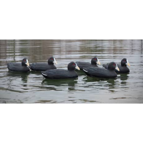 Higdon Outdoors Standard Foam-Filled Coot Duck Decoys