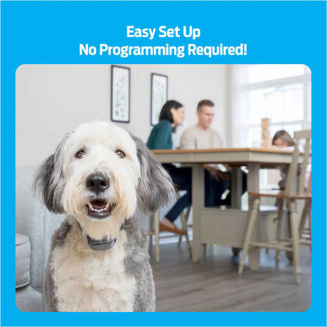 Premier Pet Bark Collar