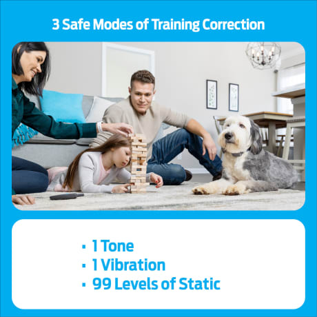 Premier Pet 300 Yard Trainer