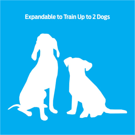 Premier Pet 300 Yard Trainer