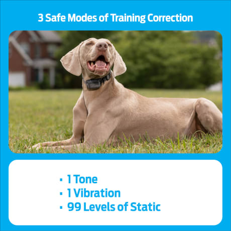 Premier Pet 600 Yard Trainer