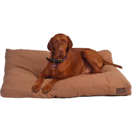Sporting Dog Solutions 40X30 Canvas Gusset Pet Bed – RANDOM SELECTION