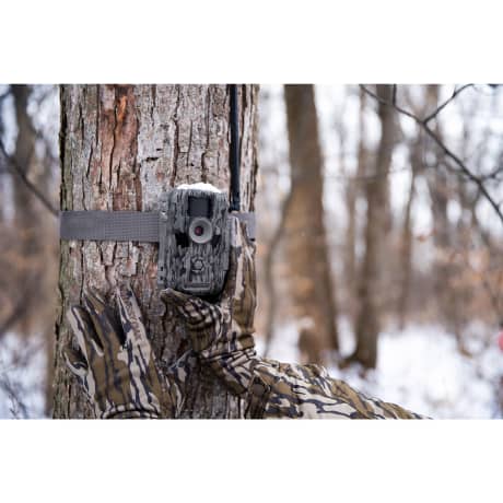 Stealth Cam® Fusion Pro Max Cellular Trail Camera