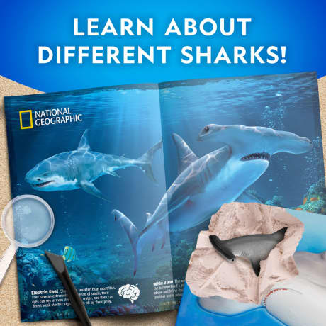National Geographic® Hammerhead Shark Dig Kit