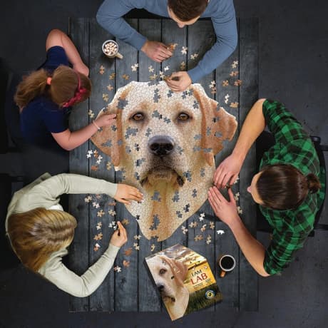 Madd Capp™ Games I AM Lab Puzzle - 550 Pieces