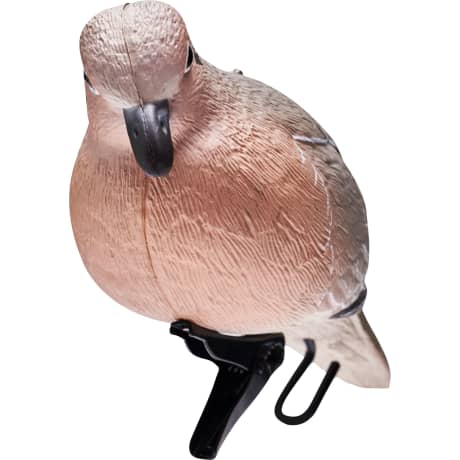 Cabela’s® Oversized Dove Decoy 4-Pack