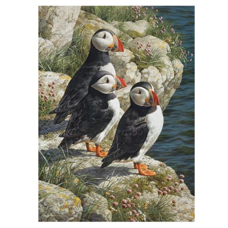 Cobble Hill Fisherman's Wharf Puzzle - 500 Pieces