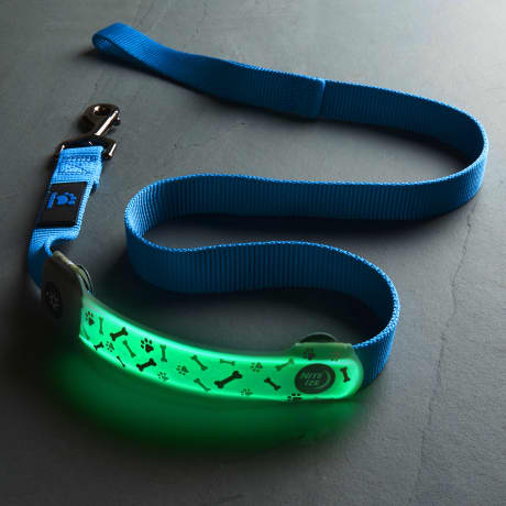 Nite Ize NiteDog® Rechargeable LED Collar Cover - Disc-O Select™